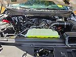 New 2025 Ford F-150 XLT SuperCrew Cab 4WD Pickup for sale #A06558 - photo 40