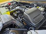 New 2025 Ford F-150 XLT SuperCrew Cab 4WD Pickup for sale #A06558 - photo 41