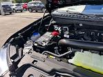2025 Ford Expedition MAX 4x2 SUV for sale #A10379 - photo 18