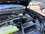 2025 Ford Expedition MAX 4x2 SUV for sale #A10379 - photo 19