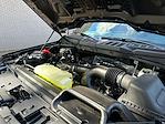 2026 Ford F-150 SuperCrew Cab 4WD Pickup for sale #A20488 - photo 24