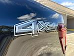 2026 Ford F-150 SuperCrew Cab 4WD Pickup for sale #A20488 - photo 31