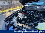 2026 Ford F-150 SuperCrew Cab 4WD Pickup for sale #A20703 - photo 22