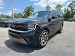 2025 Ford Expedition 4x2 SUV for sale #A21993 - photo 1
