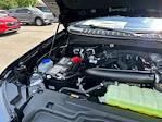 2025 Ford Expedition 4x2 SUV for sale #A21993 - photo 17
