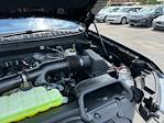 2025 Ford Expedition 4x2 SUV for sale #A21993 - photo 18
