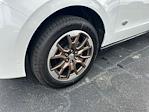 2025 Ford Expedition 4x2 SUV for sale #A25102 - photo 11