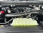 2025 Ford Expedition 4x2 SUV for sale #A25102 - photo 15