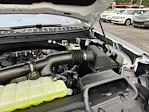 2025 Ford Expedition 4x2 SUV for sale #A25739 - photo 17