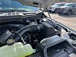 2025 Ford F-150 SuperCrew Cab 4x4 Pickup for sale #A27475 - photo 41