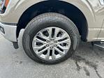 2025 Ford F-150 SuperCrew Cab 4x4 Pickup for sale #A30268 - photo 19