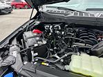 2025 Ford F-150 SuperCrew Cab 4x4 Pickup for sale #A30268 - photo 26