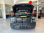 2025 Ford F-150 SuperCrew Cab 4x4 Pickup for sale #A30301 - photo 19