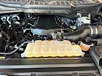 2025 Ford F-150 SuperCrew Cab 4x4 Pickup for sale #A30301 - photo 20