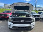 New 2025 Ford F-150 Platinum SuperCrew Cab 4x4 Pickup for sale #A31133 - photo 17