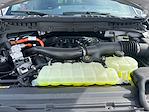 New 2025 Ford F-150 Platinum SuperCrew Cab 4x4 Pickup for sale #A31133 - photo 18
