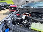 New 2025 Ford F-150 Platinum SuperCrew Cab 4x4 Pickup for sale #A31133 - photo 19