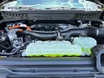 New 2025 Ford F-150 Platinum SuperCrew Cab 4x4 Pickup for sale #A41214 - photo 17