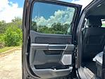 New 2025 Ford F-150 Platinum SuperCrew Cab 4x4 Pickup for sale #A41214 - photo 25