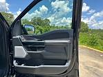New 2025 Ford F-150 Platinum SuperCrew Cab 4x4 Pickup for sale #A41214 - photo 29