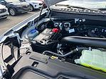 New 2025 Ford Expedition Platinum 4x4 SUV for sale #A41266 - photo 17