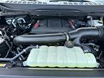 New 2025 Ford F-150 Raptor SuperCrew Cab 4x4 Pickup for sale #A51256 - photo 19
