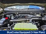 New 2025 Ford Expedition MAX Platinum 4x4 SUV for sale #A65818 - photo 28