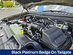 New 2025 Ford Expedition MAX Platinum 4x4 SUV for sale #A65818 - photo 29