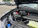 2025 Ford F-150 SuperCrew Cab 4x4 Pickup for sale #A72986 - photo 22