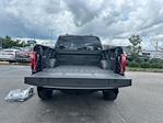 2025 Ford F-150 SuperCrew Cab 4x4 Pickup for sale #A72986 - photo 38