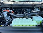 2025 Ford F-150 SuperCrew Cab 4x4 Pickup for sale #A77578 - photo 17