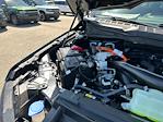 2025 Ford F-150 SuperCrew Cab 4x4 Pickup for sale #A77578 - photo 18