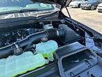 2025 Ford F-150 SuperCrew Cab 4x4 Pickup for sale #A77578 - photo 19