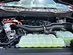 2025 Ford F-150 SuperCrew Cab 4x4 Pickup for sale #A77804 - photo 18