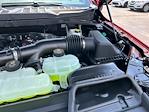 2025 Ford F-150 SuperCrew Cab 4x4 Pickup for sale #A77804 - photo 20