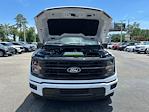 2025 Ford F-150 SuperCrew Cab 4x4 Pickup for sale #A78399 - photo 16