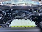 2025 Ford F-150 SuperCrew Cab 4x4 Pickup for sale #A78399 - photo 17