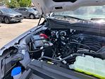2025 Ford F-150 SuperCrew Cab 4x4 Pickup for sale #A78399 - photo 18