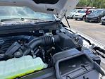 2025 Ford F-150 SuperCrew Cab 4x4 Pickup for sale #A78399 - photo 19