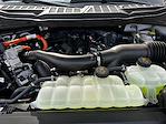 New 2025 Ford F-150 XLT SuperCrew Cab for sale #A80738 - photo 21