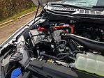 New 2025 Ford F-150 XLT SuperCrew Cab for sale #A80738 - photo 22