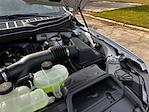 New 2025 Ford F-150 XLT SuperCrew Cab for sale #A80738 - photo 23