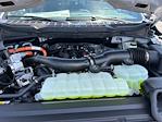 2025 Ford F-150 SuperCrew Cab 4x4 Pickup for sale #A83324 - photo 19