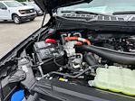 2025 Ford F-150 SuperCrew Cab 4x4 Pickup for sale #A96021 - photo 19