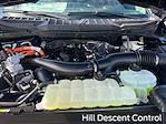 New 2025 Ford F-150 XLT SuperCrew Cab 4WD Pickup for sale #A96825 - photo 26