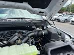 2025 Ford F-150 SuperCrew Cab 4x4 Pickup for sale #B10684 - photo 19