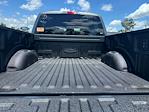 2025 Ford F-150 SuperCrew Cab 4x4 Pickup for sale #B15533 - photo 34
