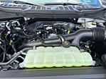 New 2025 Ford F-150 STX SuperCrew Cab 4x4 Pickup for sale #B15657 - photo 17