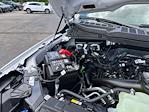 New 2025 Ford F-150 STX SuperCrew Cab 4x4 Pickup for sale #B15657 - photo 18
