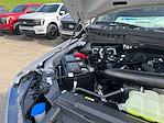 New 2025 Ford F-150 Platinum SuperCrew Cab 4x4 Pickup for sale #B20598 - photo 19